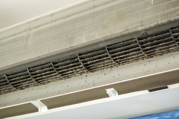 Best HVAC Air Duct Cleaning  in Dimmitt, TX